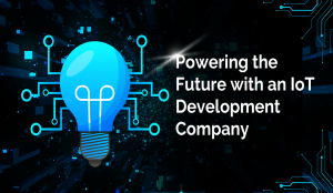 Powering the Future with an IoT Development Company