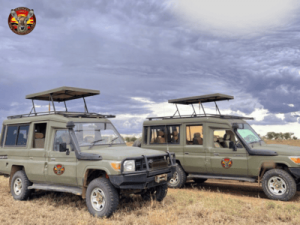 Best-Rated Tanzania Safari Companies for 2025