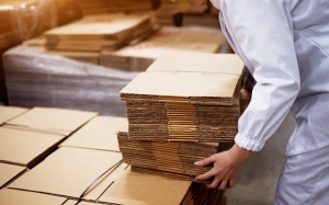 Why Is South Korea Containerboard Market Growing Despite Global Challenges? 5 Key Factors Behind the Boom