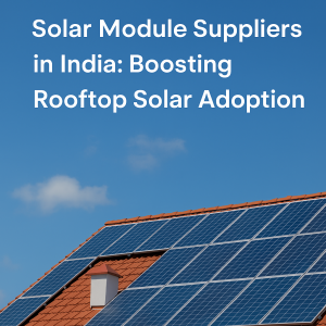 Best Solar Panel Manufacturer in India – Evolve Energy