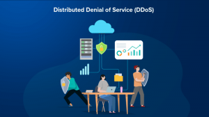 How Distributed Denial of Service (DDoS) Attacks Disrupt the Digital World