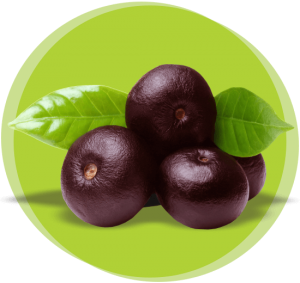 Vita Plus Acai Berry Powder – Superfood for Energy & Wellness