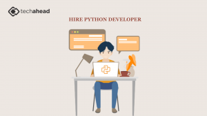 Hire Node.js Developers & Hire Python Developers to Accelerate Your Software Development 