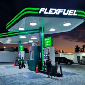 Brazil Flexfuel Cars Market Set to Experience Substantial Growth Due to Environmental Sustainability Initiatives