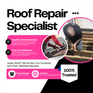 Expert Roof Repair Service for Homes