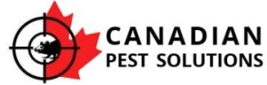 Canadian Pest Solutions 