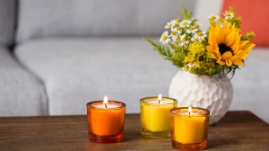 Shop Scented Candles: Elevate Your Space with Fragrance & Warmth