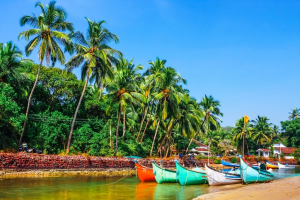 Discover the Beauty of Goa with Nitsa Holidays: The Best Family and Honeymoon Tour Packages