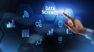 The Role of Data Scientists in Today’s Data-Driven World
