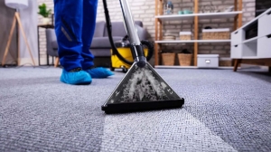 Restore Your Home with Expert Mould and Fire Damage Services