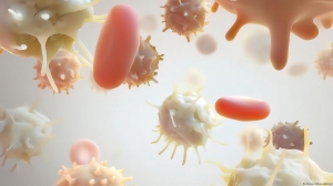 Lambert Eaton Myasthenic Syndrome Market Set to Expand Rapidly Due to Advanced Treatment Options