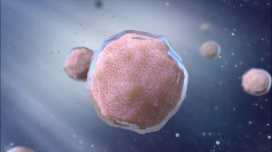 Organoids: What's the Big Deal in 2025?