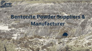 Online vs. Offline: Where to Find Genuine Bentonite Suppliers in India