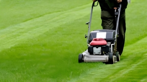 How a Simple Lawn Aeration Service Transformed Our Commercial Property