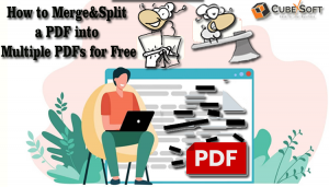 How do I split a large PDF into multiple PDFs?