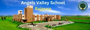Discover Rajpura’s Premier Public School — Angels Valley School Welcomes You