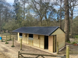 The Advantages Of Timber Building For Residential And Commercial Properties  