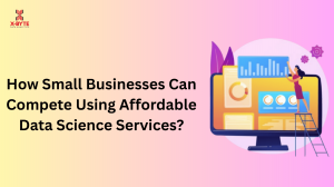 How Small Businesses Can Compete Using Affordable Data Science Services?