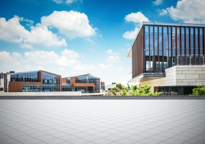 What is the best and most affordable elementary school in Ajman?