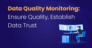What is Data Quality Monitoring?