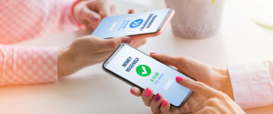 Netherlands Mobile Payment Market: Growth Drivers and Consumer Behavior Shifts