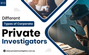 Different Types of Corporate Private Investigations