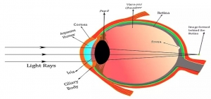 Understanding Hypermetropia: A Complete Guide