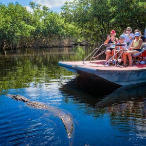 Everglades Tour