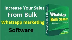 Best Bulk WhatsApp Software for Business Marketing