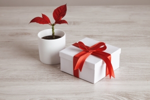 Where can I find high-quality personalized gifts in Abu Dhabi?
