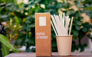 Paper Straw Market Witnesses Substantial Growth Due to Rising Environmental Consciousness and Sustainable Packaging Solutions
