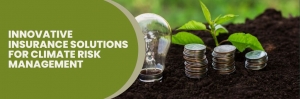 Innovative Insurance Solutions for Climate Risk Management