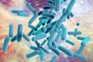 Growing Prevalence of Pseudomonas Aeruginosa Infections Market Drives Market Growth Through Advanced Therapeutics