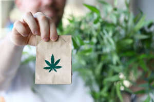 Stiiizy Pod Delivery in La Habra: How to Order Your Favorite Strains Online