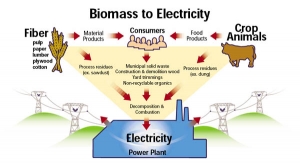 Biomass Electricity Market Application Development, Competitive Market & Forecast 2025-2035