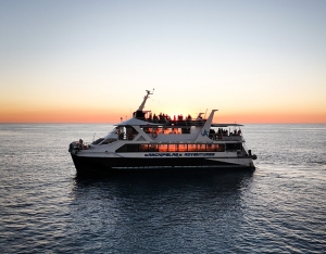 Swan River Secrets - Cruises That Go Beyond Sightseeing