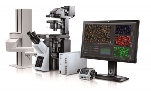 Unlocking Cellular Insights: Growth of the High Content Screening Market