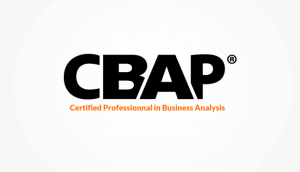 Can These CBAP Courses Help You Clear the Exam on the First Try?