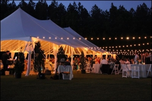 Brighten Your Event with Professional Lighting Solutions
