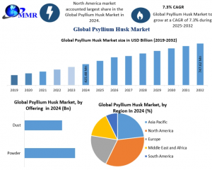 Future of Psyllium Husk Industry Production: Embracing On-Demand, Custom Solutions (2025–2032)