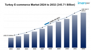 Turkey E-commerce Market Size Share Growth Trends 2025-2033