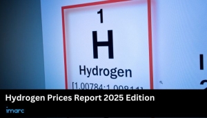 Hydrogen Prices, Pricing Report, Index & Forecast Chart