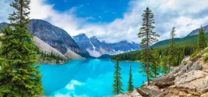 Building a Strong Financial Foundation with a Financial Planner