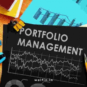 Is Portfolio Management Right for You in India?