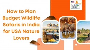 How to Plan Budget Wildlife Safaris in India from USA A Nature Lover’s Guide