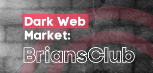 Understanding Brian's Club