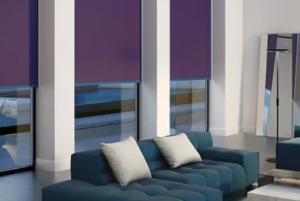 Transform Your Space with Zebra Blinds and Blackout Roller Shades