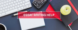 Essay Writing Help Service