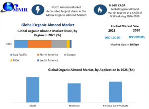Organic Almond Industry Outlook: Growth Analysis and Forecast to 2030