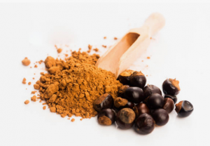Guarana Powder Market | Unlocking the Power of Natural Energy